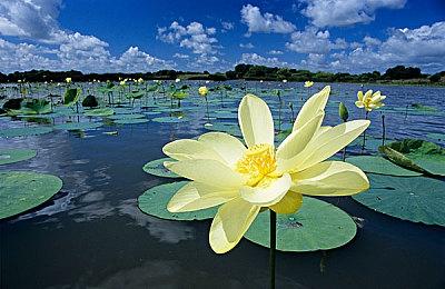 《龙腾世纪：影障守护者》当前并没有DLC制作计划