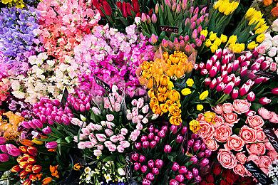 《心之眼》开发商对灾难首发感到“心碎”而不是“道歉” 补丁计划公布